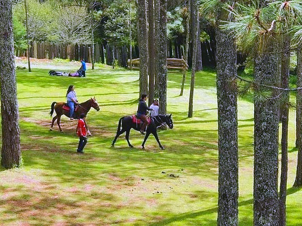 Horseback riding among the pine trees at Rancho Nuevo, in the Chiapas highlands